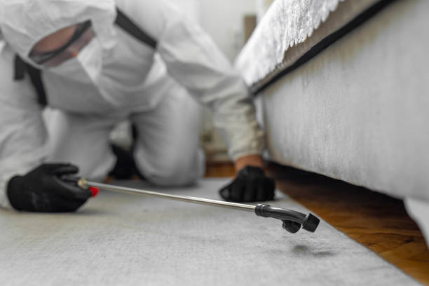 Professional Bed Bug Control technician working in Cutchogue, NY